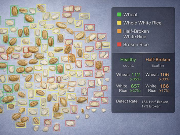 Seed Counting & Purity  Analysis System
